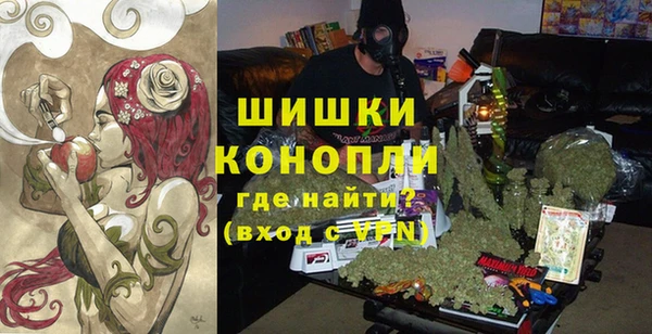гидра Арсеньев