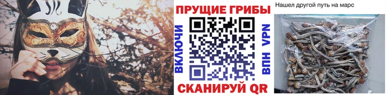 даркнет сайт  Харовск  Галлюциногенные грибы Cubensis 
